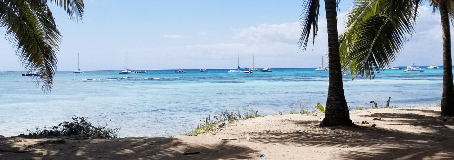 Saona Island